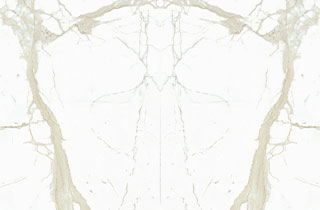 WHITE CALACATTA BOOK-MATCH silky