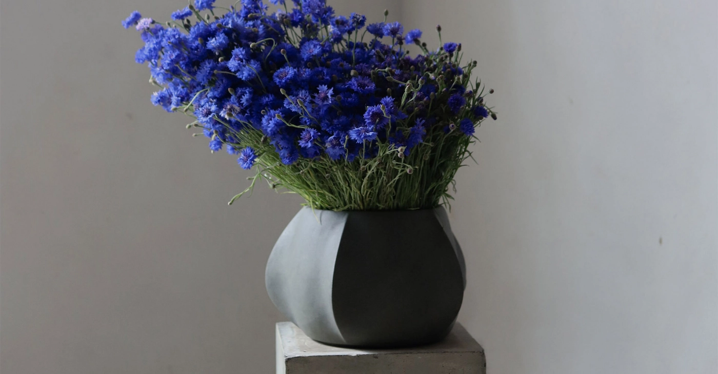 ARKET PLANT POT mini 1
