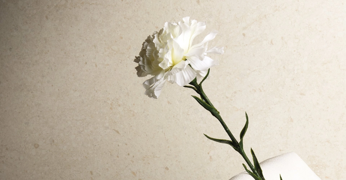 MOON CREAM natural 3