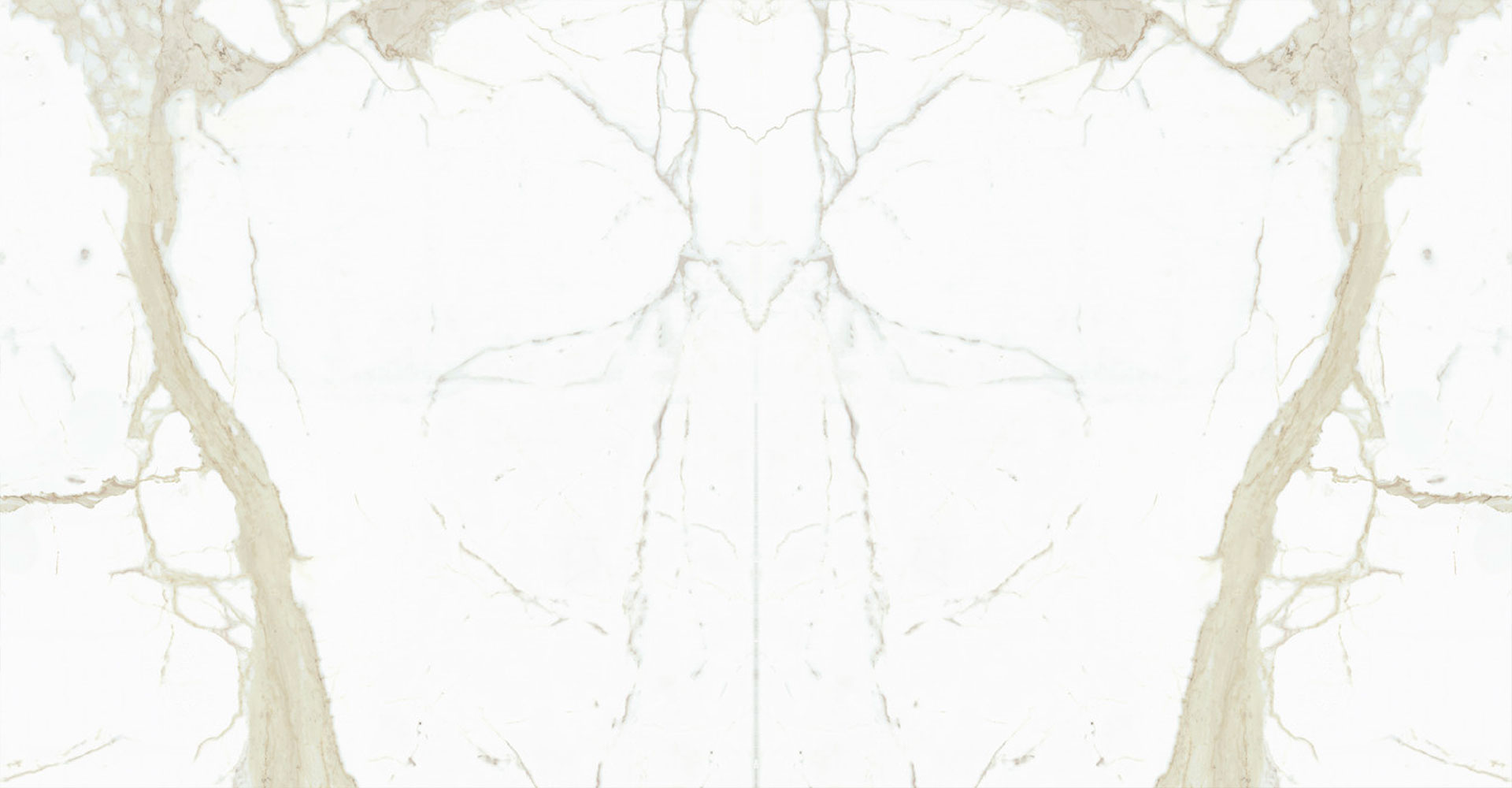 WHITE CALACATTA BOOK-MATCH silky 2